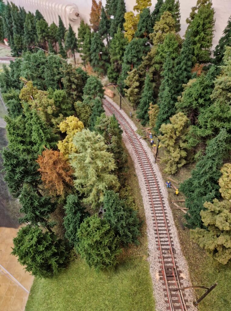 Ein neuer Wald entsteht